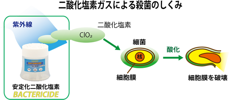 殺菌のしくみ